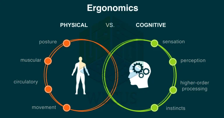 Ergonomics_ Physical_Cognitive