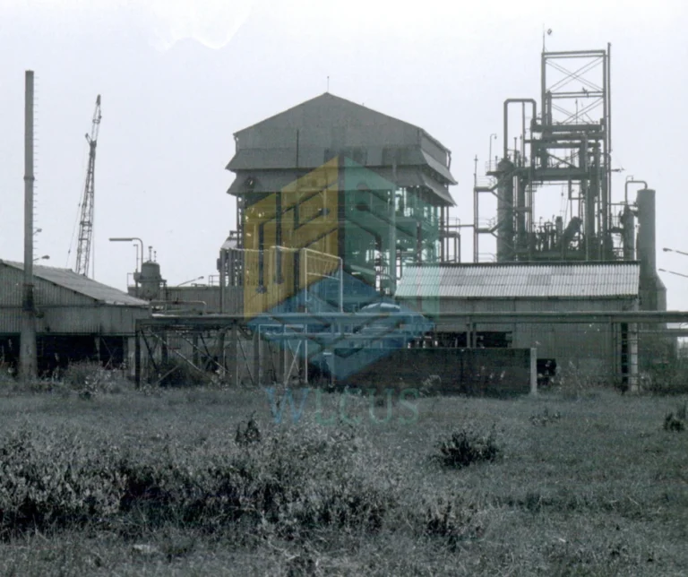 Bhopal Gas Tragedy - Occupational Health and Safety hazard 1984