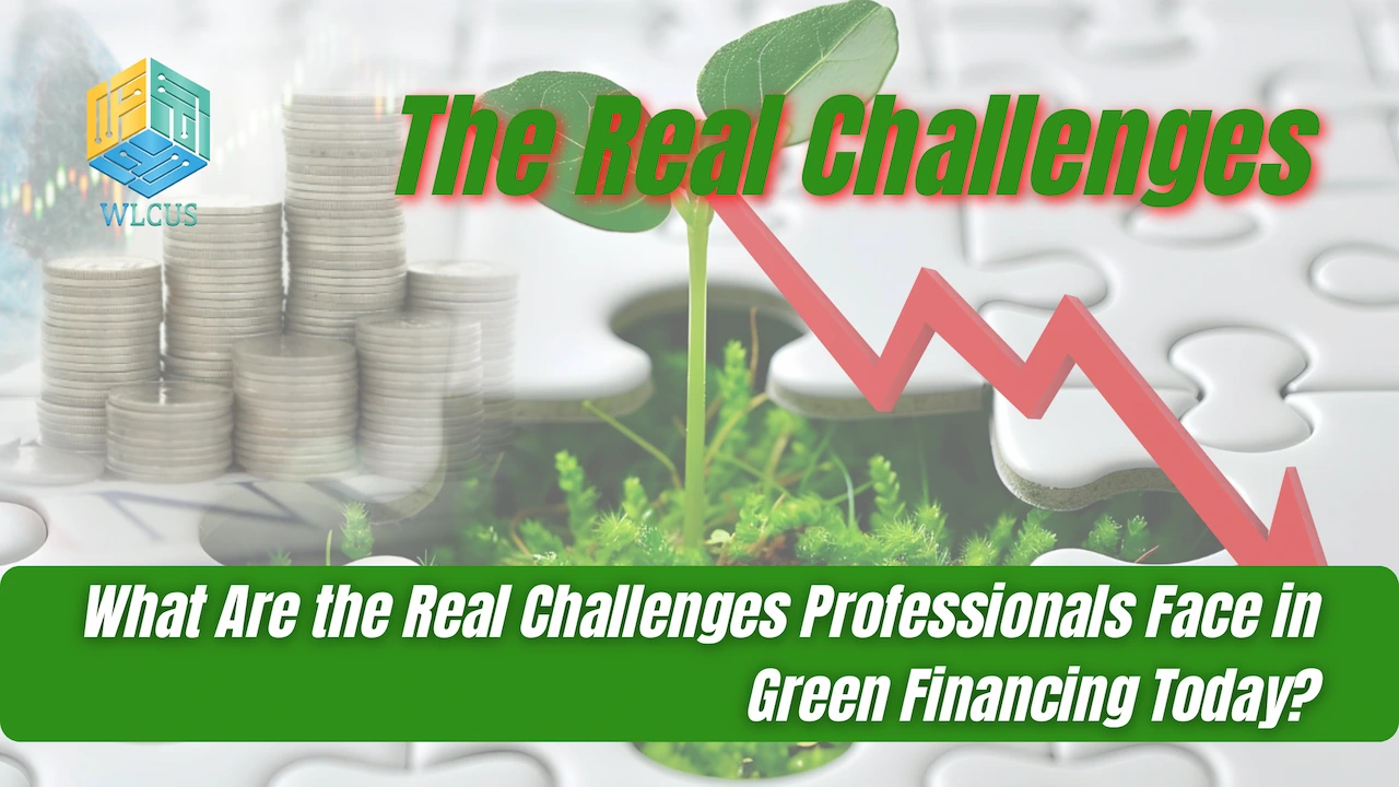 What are the Real Challenges Faced by professionals in green finance today? | Green Finance Masterclass 2025